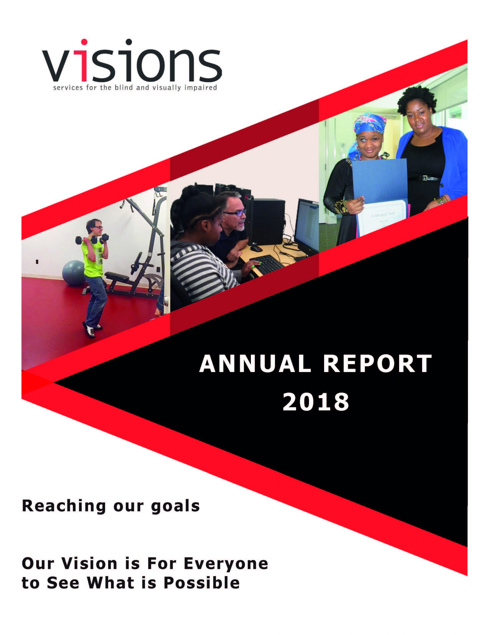 VISIONS 2018 Annual Report Cover.